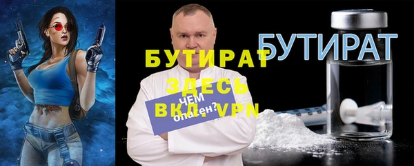 индика Алексин
