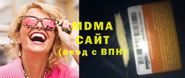 индика Алексин