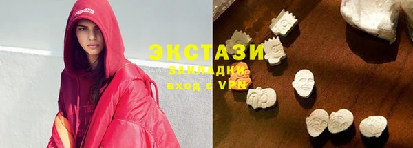 индика Алексин